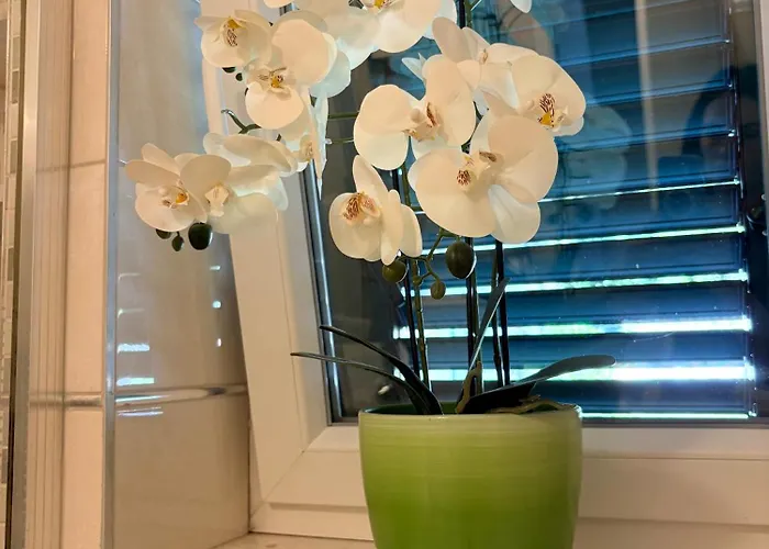 Andelina, Apartman *